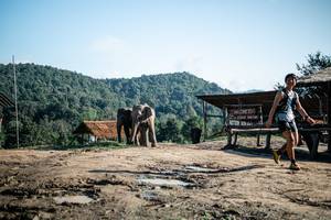 BIB: 
                            <button type="button" onclick="openModal(22423575)" class="btn btn-primary btn-sm float-right btn-popup" data-toggle="modal" data-target=".modal-high-quality">
                        <i class="fas fa-shopping-cart"></i> Add to Cart
                    </button>
                                            <button type="button" onclick="isThisMe(22423575, true)" class="btn btn-success btn-sm float-right btn-popup btn-isme hidden" data-toggle="tooltip" data-placement="bottom" title="นี่คือรูปของคุณใช่ไหม คลิกที่นี่เพื่อเอาเข้าอัลบั้ม">
                        <i class="fas fa-plus"></i> Add to album
                    </button>
                    <button type="button" onclick="isThisMe(22423575, false)" class="btn btn-warning btn-sm float-right btn-popup btn-isnotme hidden">
                        <i class="fas fa-ban"></i> Remove from album
                    </button>